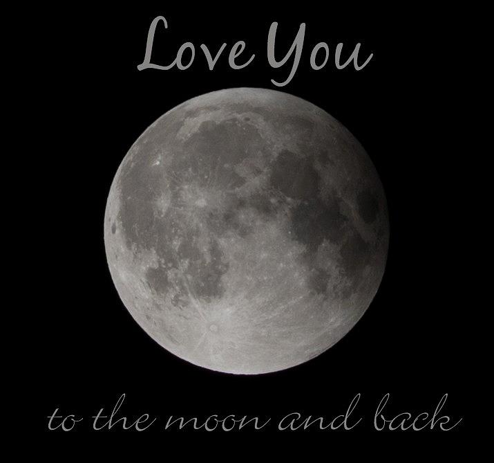 Love You To The Moon and Back Photograph by Terry DeLuco