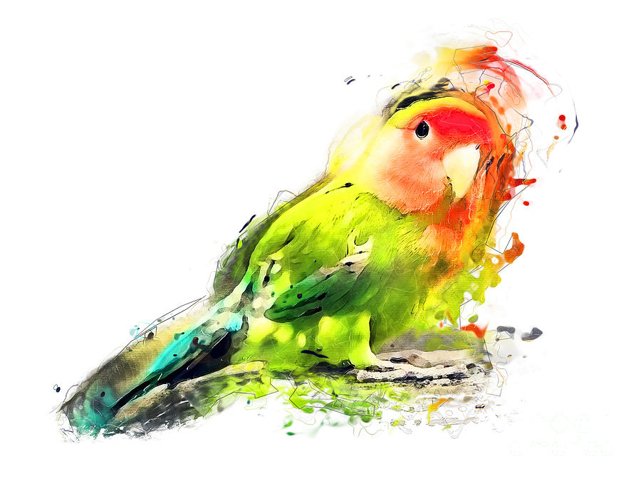 Lovebird watercolor painting Painting by Justyna Jaszke JBJart