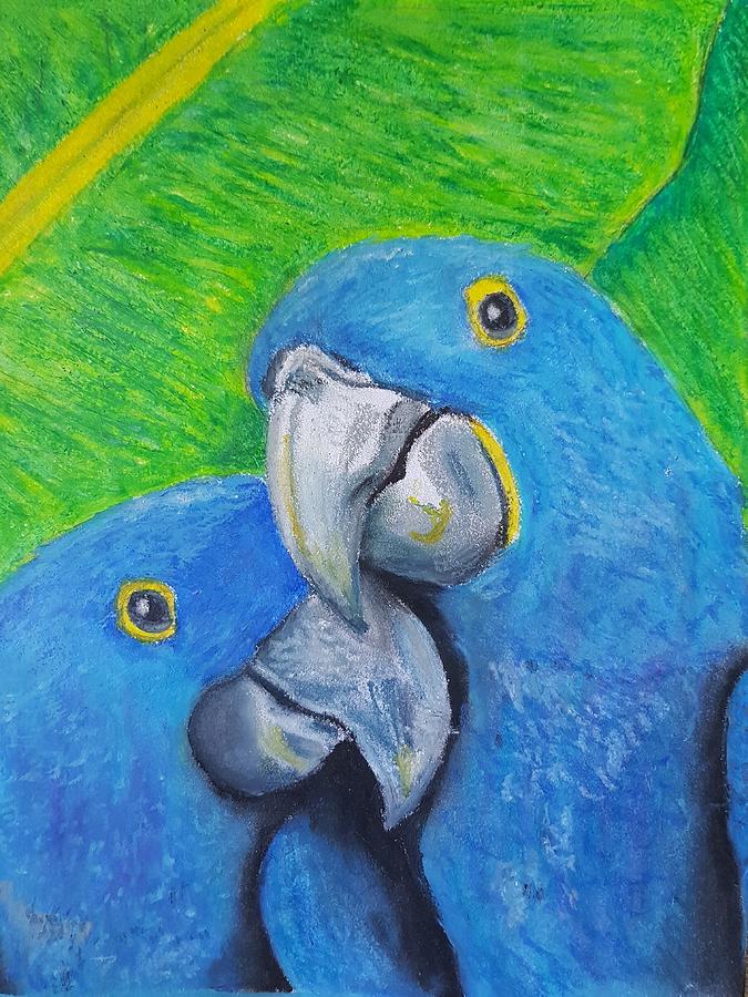 Hyacinth Macaw Pastel by Cassy Allsworth