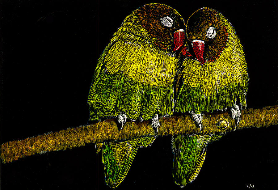 Lovebirds Drawing by William Underwood