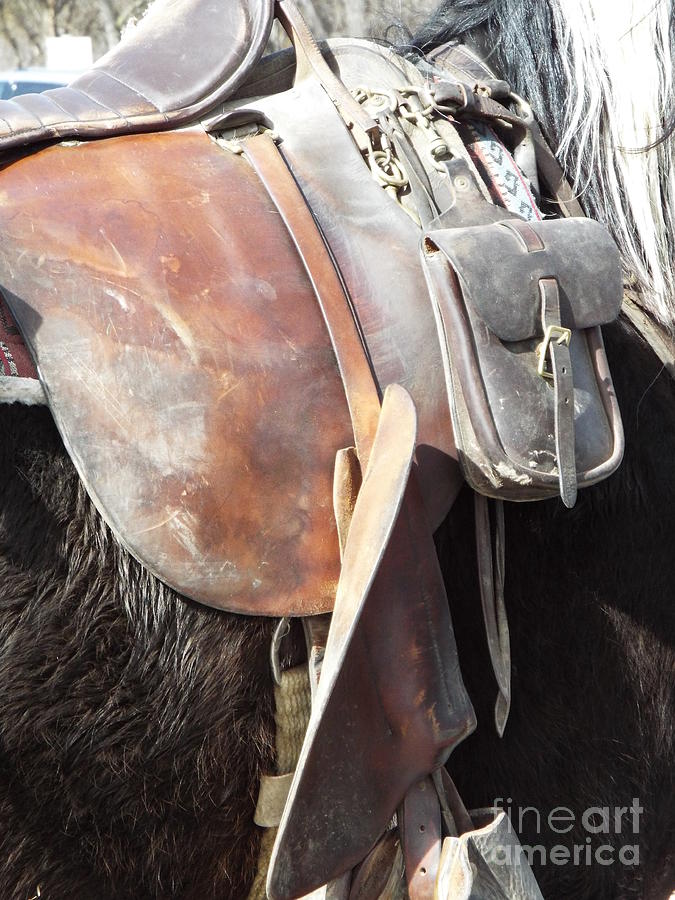 Loved Leather Tack Photograph by Caryl J Bohn