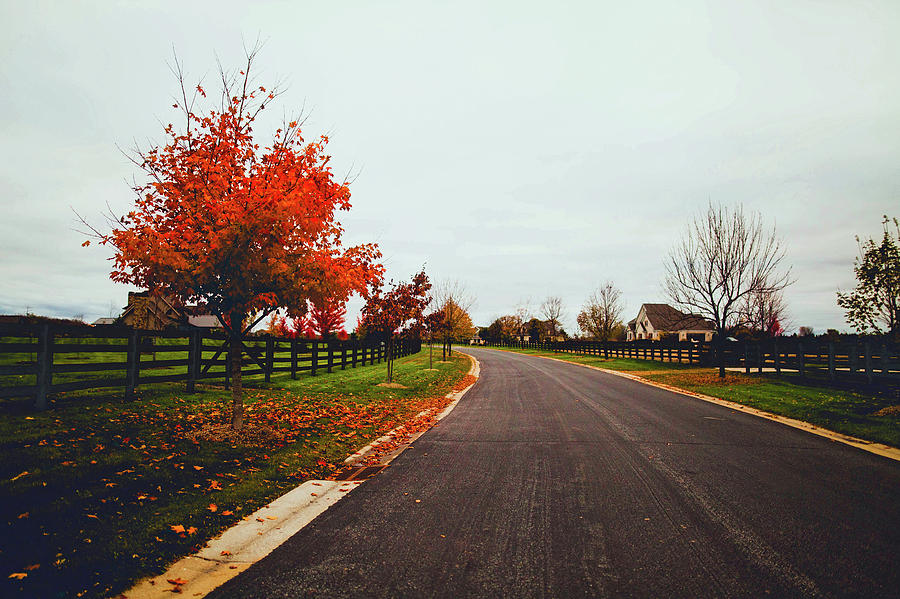 Lovely Autumn Drive Photograph by Mountain Dreams