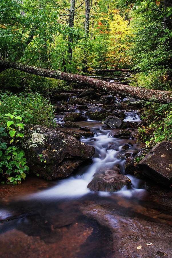 Lovely autumn stream in Shenandoah NP Photograph by Vishwanath Bhat