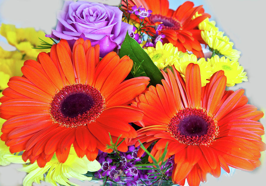 Lovely Bouquet Photograph by Vijay Sharon Govender