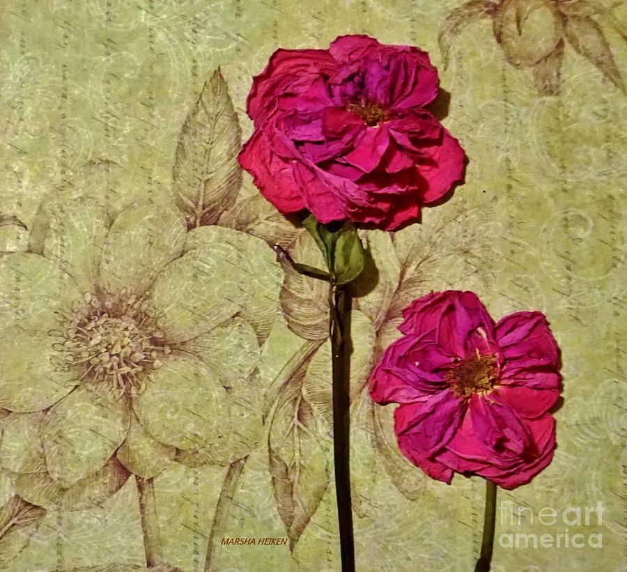 Lovely Dried Roses Mixed Media by Marsha Heiken