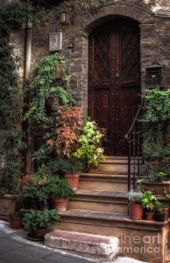 Flower Photograph - Lovely Entrance by Prints of Italy