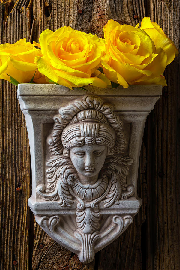 Lovely Goddess Vase With Roses Photograph by Garry Gay