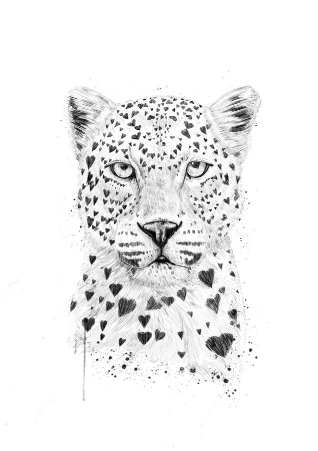 Black And White Drawing - Lovely leopard by Balazs Solti