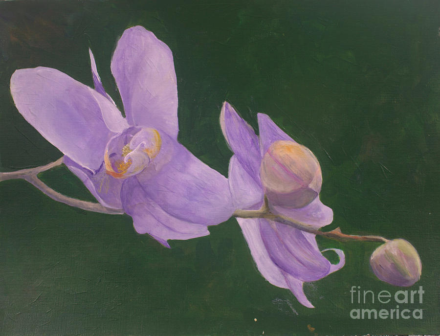 Lovely Orchid Painting by Donna Walsh