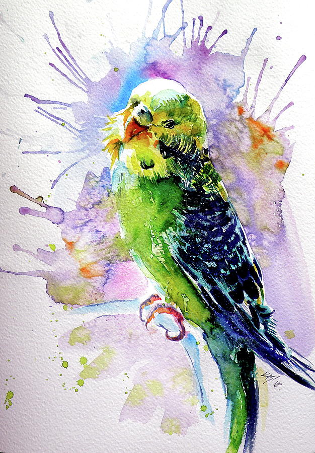 Lovely parrot Painting by Kovacs Anna Brigitta