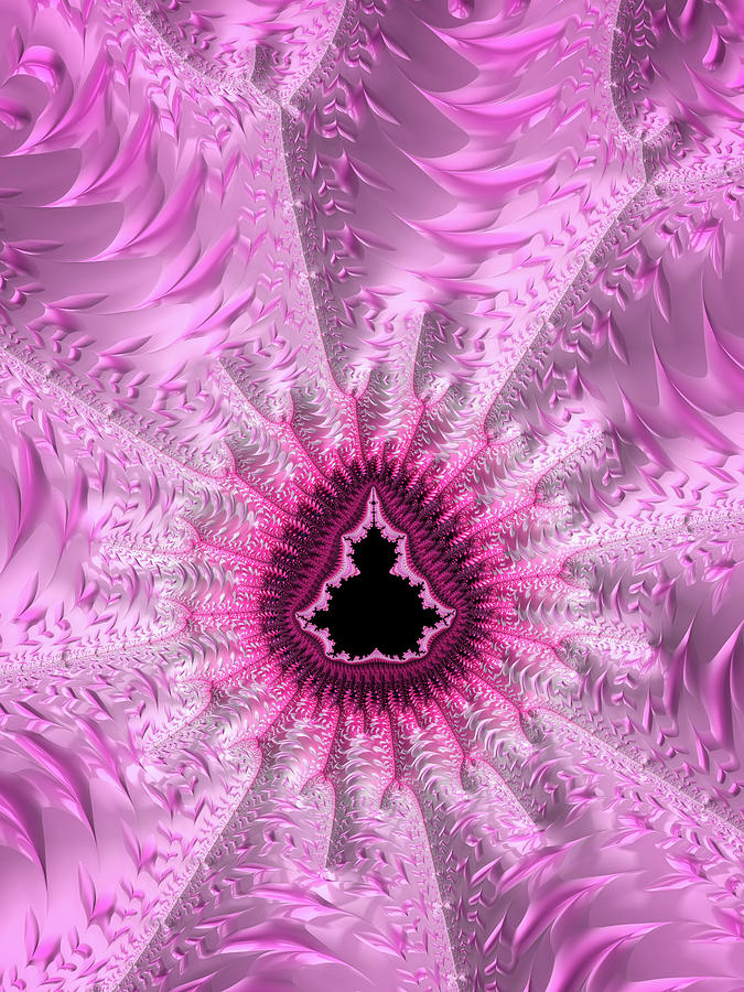 Lovely Pink Fractal Art Digital Art By Matthias Hauser Fine Art America