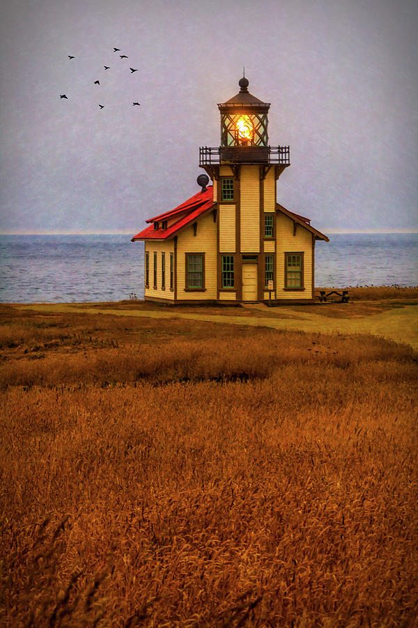 Lovely Point Cabrillo Light Station Photograph by Garry Gay