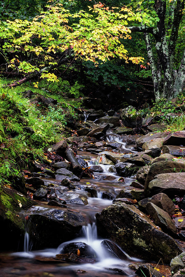 Lovely stream in Shenandoah NP Photograph by Vishwanath Bhat
