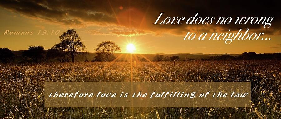 LoveQuote304 Photograph by David Norman