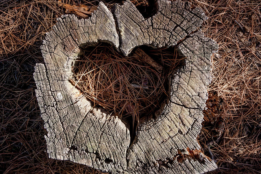 Heart Photograph - Lovers Leap by Evan Ludes Heart Photograph - Lovers Leap by Evan Ludes