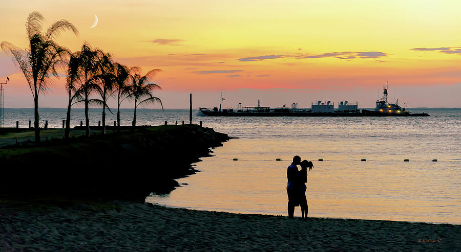 Lovers On The Bay Photograph by Brian Wallace
