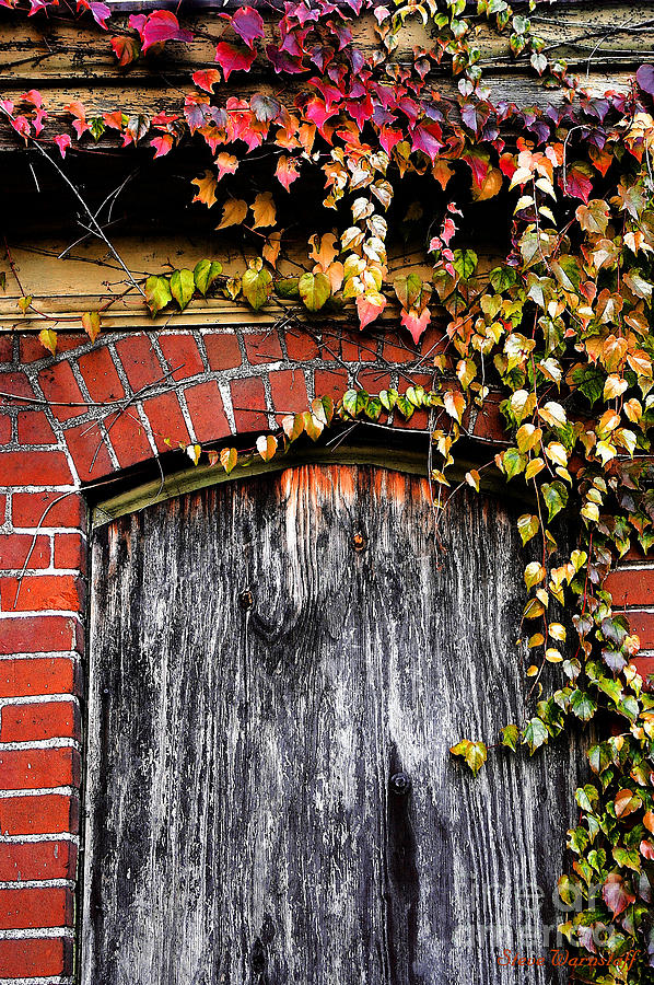 Loves Doorway Photograph by Steve Warnstaff