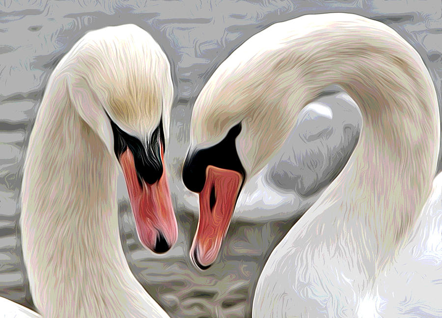 Nature Photograph - Loving Couple by Elaine Somers