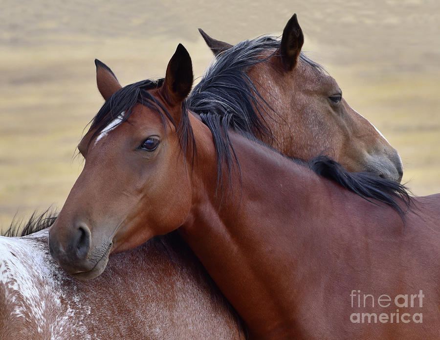 Loving One Another by Lula Adams Loving One Another by Lula Adams