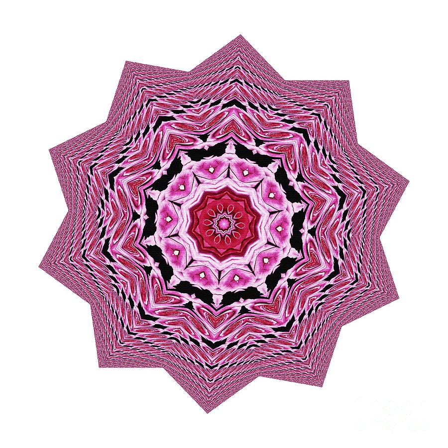 Loving Rose Mandala by Kaye Menner Photograph by Kaye Menner