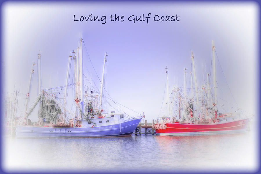 Loving the Gulf Coast Photograph by Barry Jones