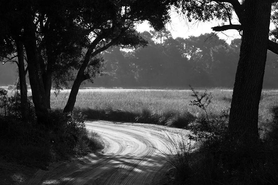 Low Country Road Photograph by Donnie Whitaker