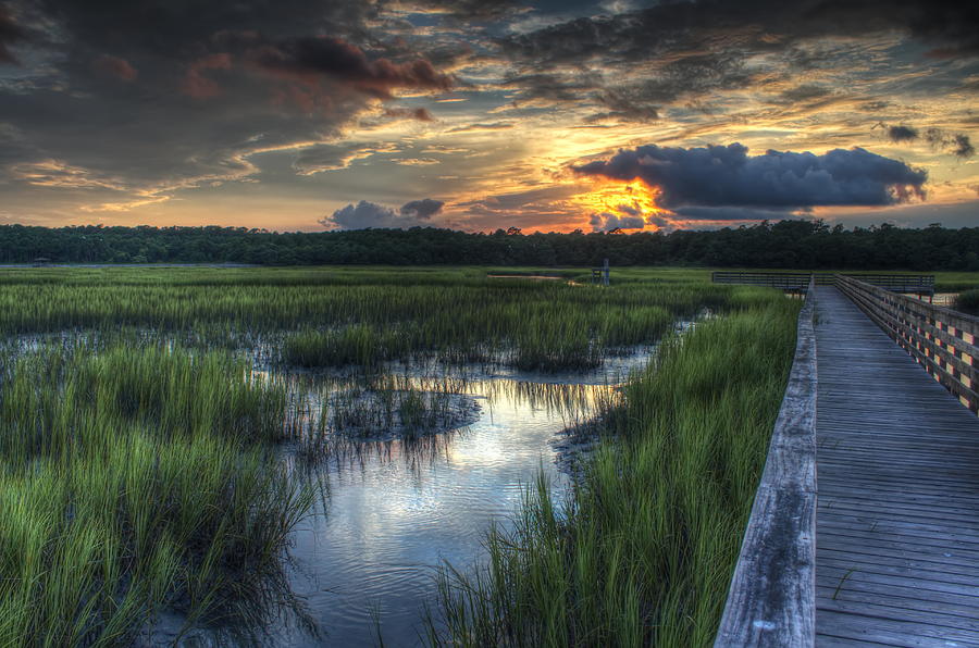 Image result for low country marsh photos