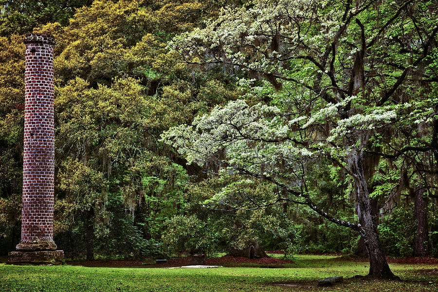 Low Country Spring Photograph by Diana Powell