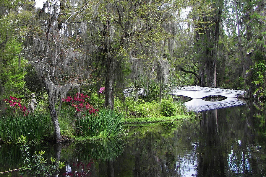 Low Country Springtime Photograph by Jerry Griffin
