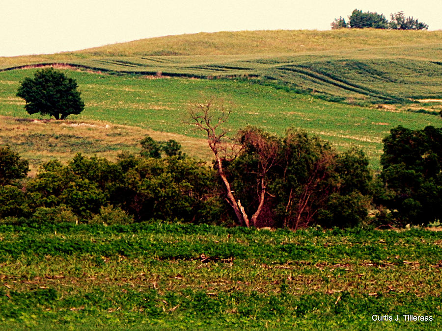 Low Key Landscape Photograph by Curtis Tilleraas Fine Art America