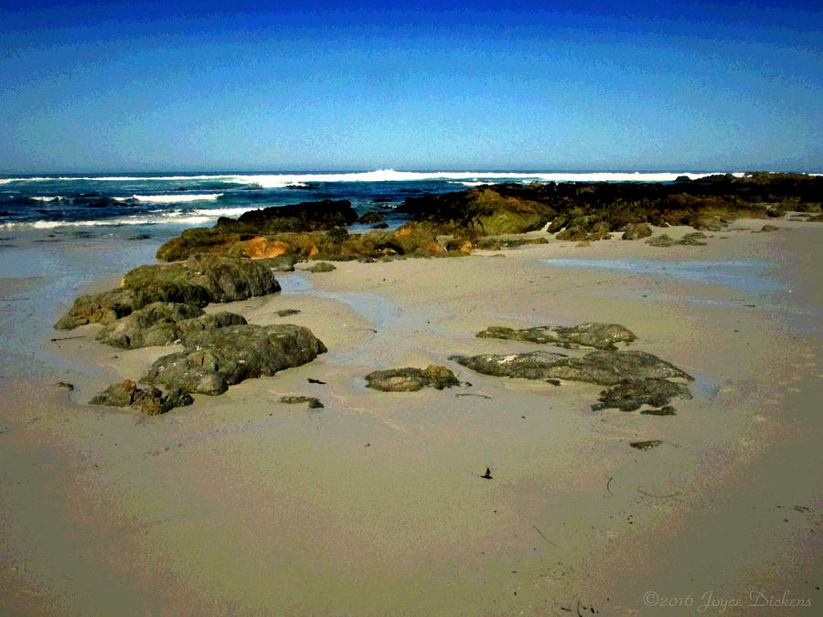Low Tide At Asilomar Photograph by Joyce Dickens