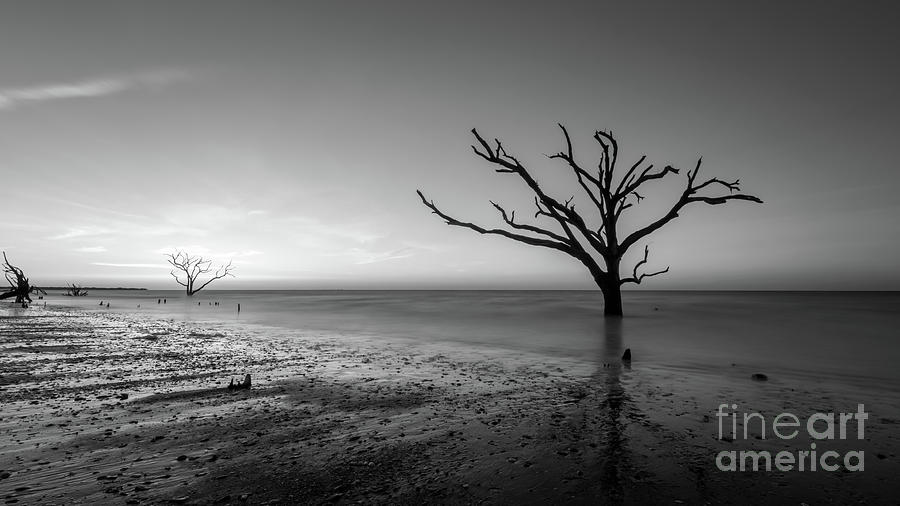 Low Tide at Botany Bay Plantation BW  Photograph by Michael Ver Sprill