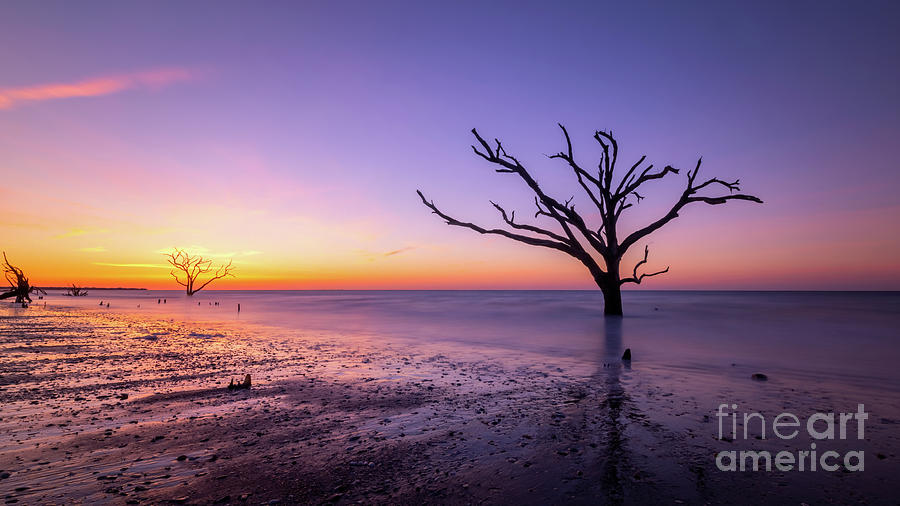 Low Tide at Botany Bay Plantation  Photograph by Michael Ver Sprill