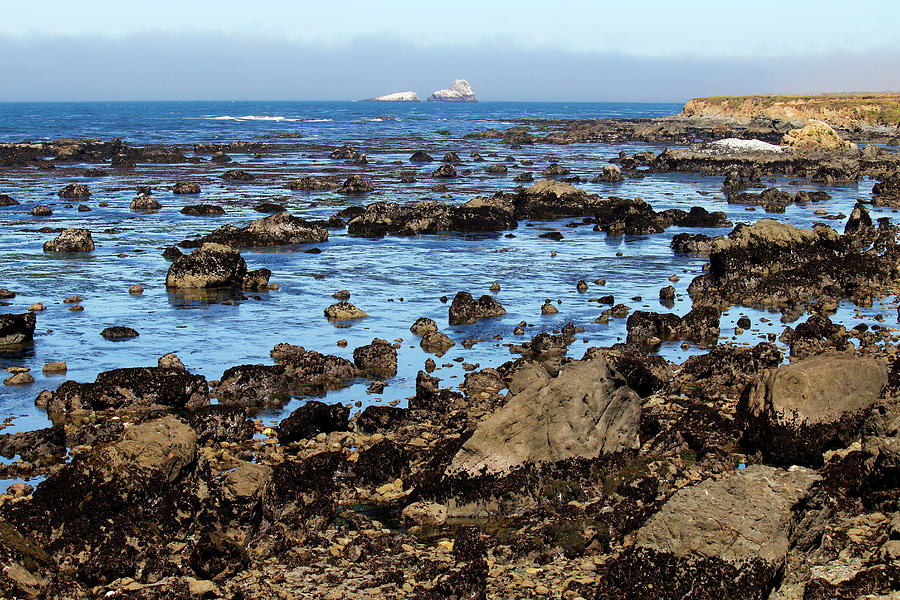 Low Tide at Piedras Blancas Photograph by Art Block Collections