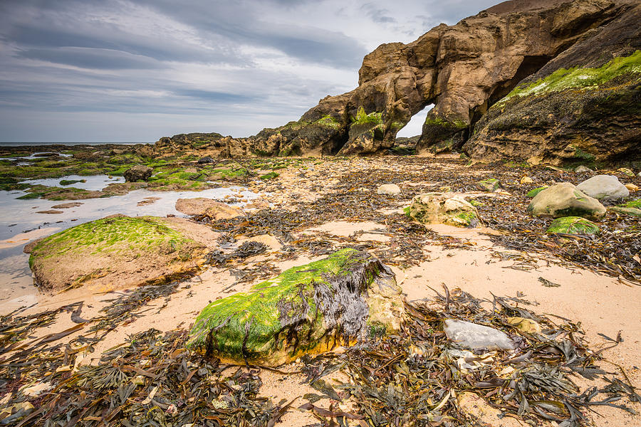 Nature Photograph - Low tide at Saddle Rocks by David Head