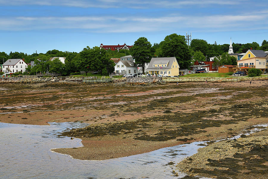 Summer Photograph - Low Tide at St. Andrews by the Sea by Gary Hall