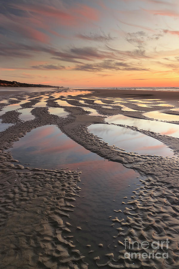 Low Tide At Sunset --vertical Photograph by Masako Metz