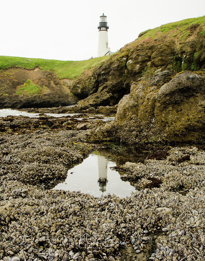 Low Tide At Yaquina Head Photograph by Nick Boren