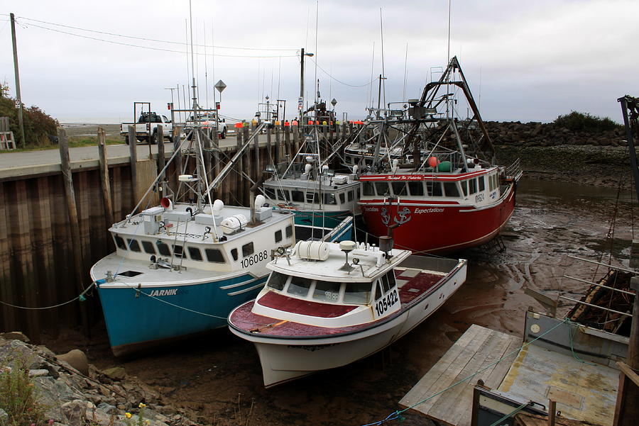 low-tide-bay-of-fundy-photograph-by-william-joseph-pixels