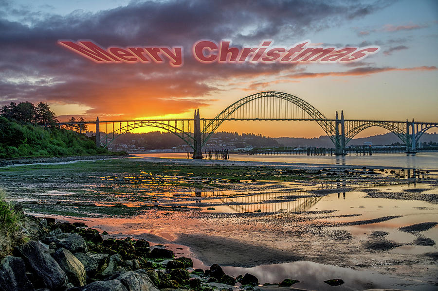 Low Tide Christmas Photograph by Bill Posner