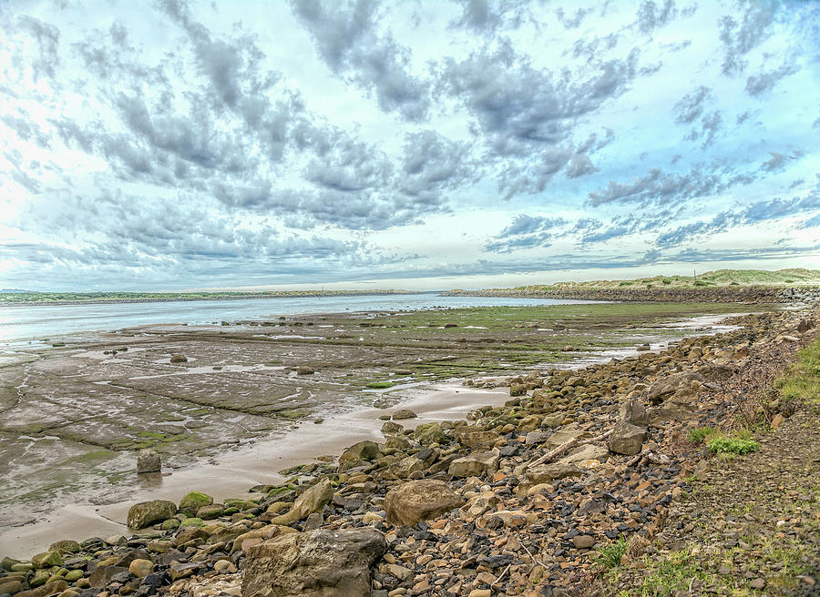 Low tide clouds Photograph by Bill Posner