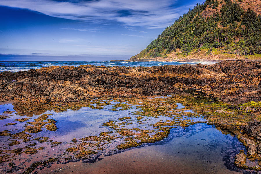 Nature Photograph - Low Tide by Diana Powell