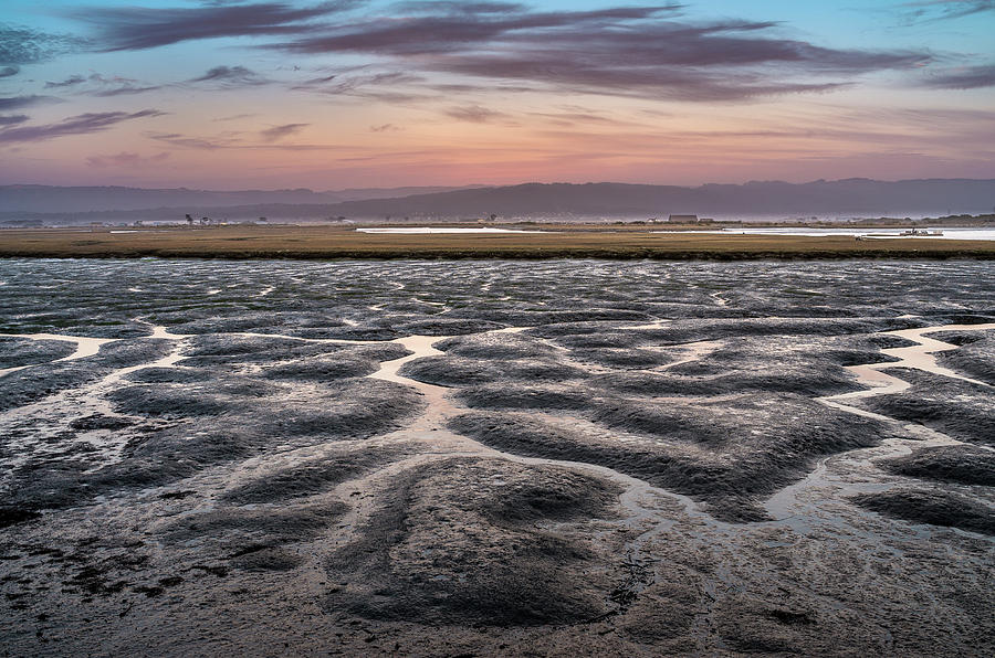 Low Tide Dusk Photograph by Greg Nyquist