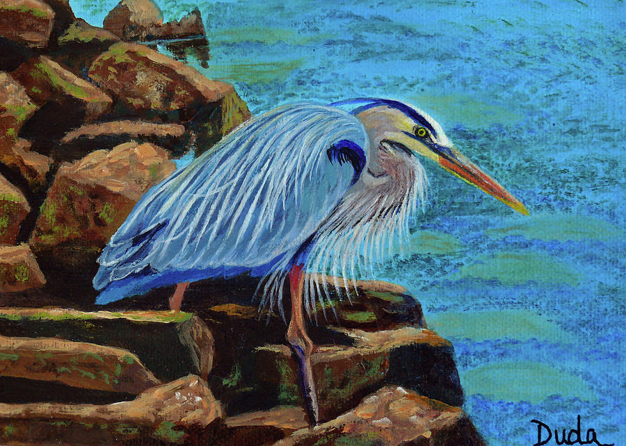 Bird Painting - Low Tide Fisherman by Susan Duda
