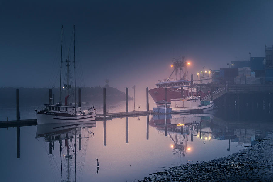 Low Tide Fog Photograph by Bill Posner