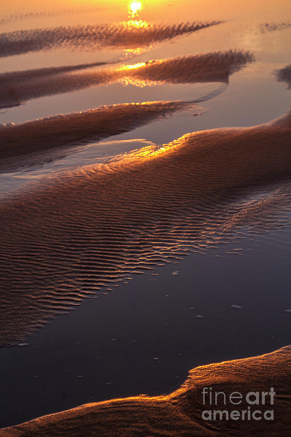 Low Tide Golden Sands Photograph by Heiko Koehrer-Wagner