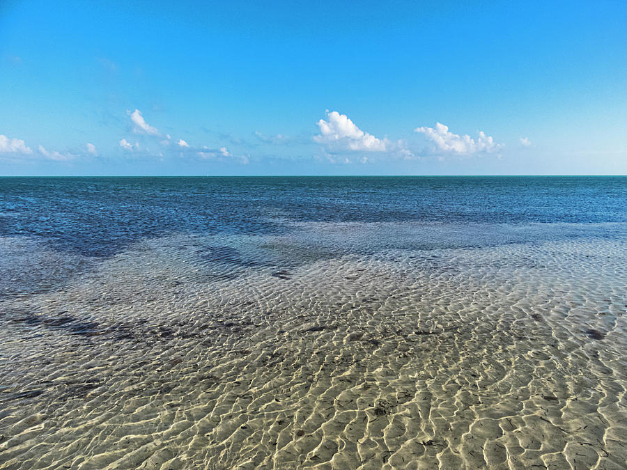 Low Tide Horizon in Key West Photograph by Bob Slitzan