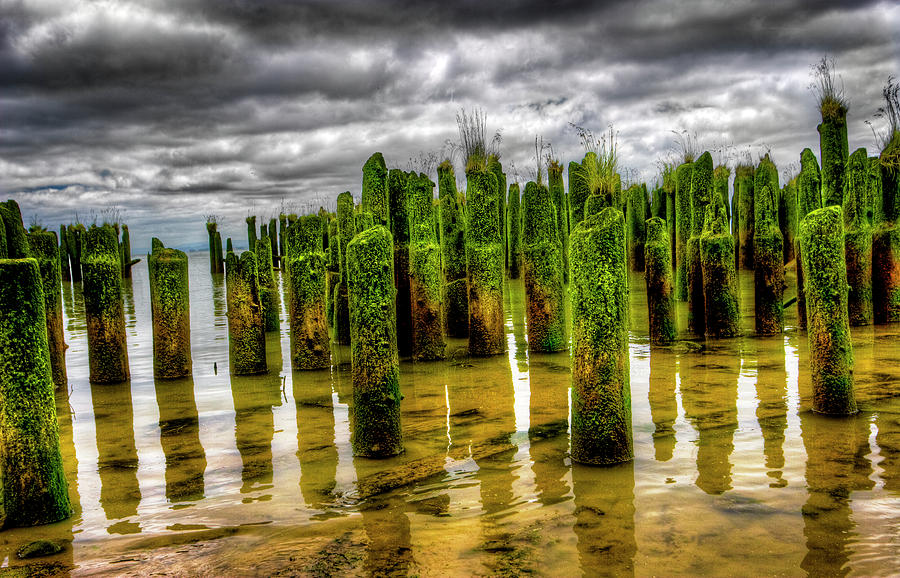 Low Tide by Ken Ketchum Low Tide by Ken Ketchum