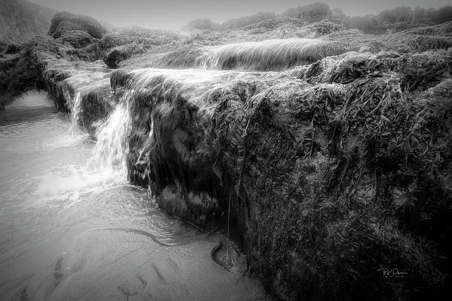 Low tide mysteries Photograph by Bill Posner