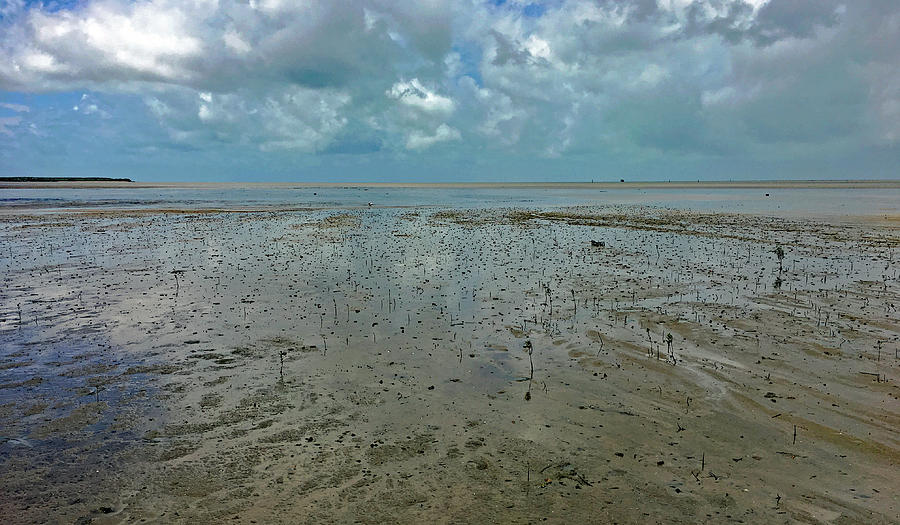 Low Tide No. 69-1 Photograph by Sandy Taylor